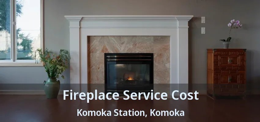 Fireplace Service Cost Komoka Station, Komoka - ON