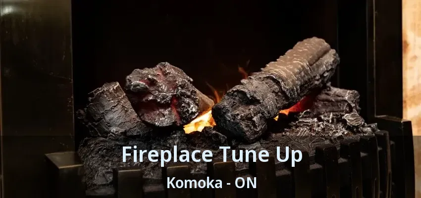 Fireplace Tune Up Komoka - ON