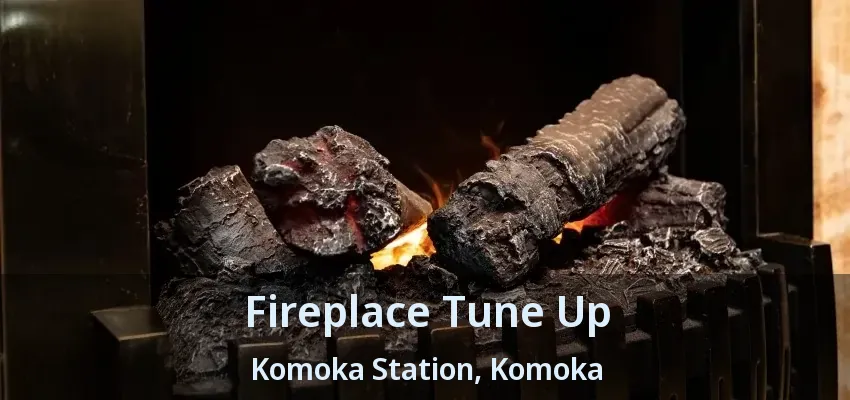 Fireplace Tune Up Komoka Station, Komoka - ON