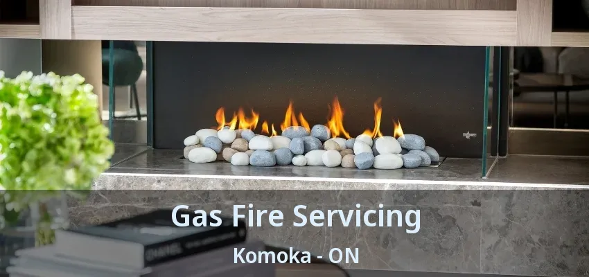 Gas Fire Servicing Komoka - ON