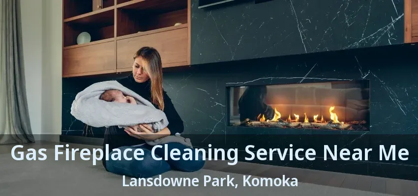 Gas Fireplace Cleaning Service Near Me Lansdowne Park, Komoka - ON