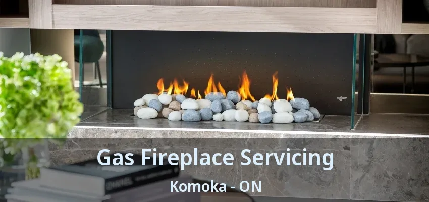 Gas Fireplace Servicing Komoka - ON