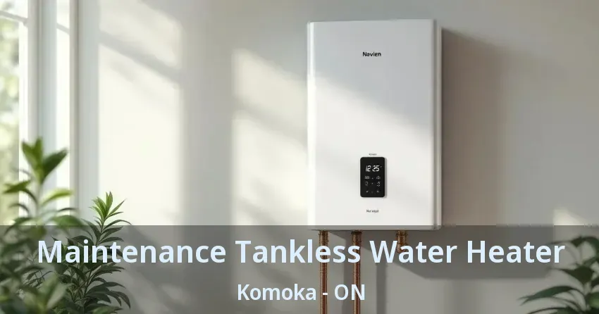 Maintenance Tankless Water Heater Komoka - ON Maintenance Tankless Water Heater Komoka - ON