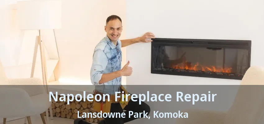 Napoleon Fireplace Repair Lansdowne Park, Komoka - ON