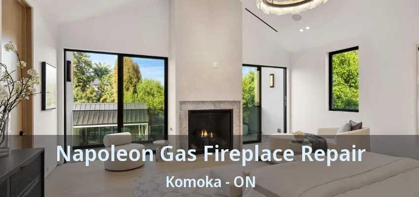 Napoleon Gas Fireplace Repair Komoka - ON Napoleon Gas Fireplace Repair Komoka - ON