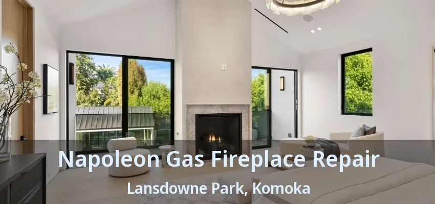 Napoleon Gas Fireplace Repair Lansdowne Park, Komoka - ON