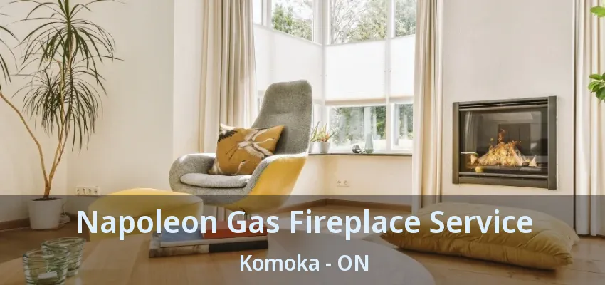 Napoleon Gas Fireplace Service Komoka - ON