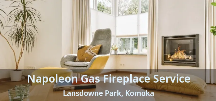 Napoleon Gas Fireplace Service Lansdowne Park, Komoka - ON
