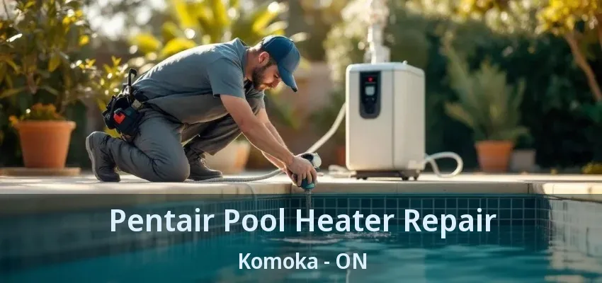 Pentair Pool Heater Repair Komoka - ON Pentair Pool Heater Repair Komoka - ON