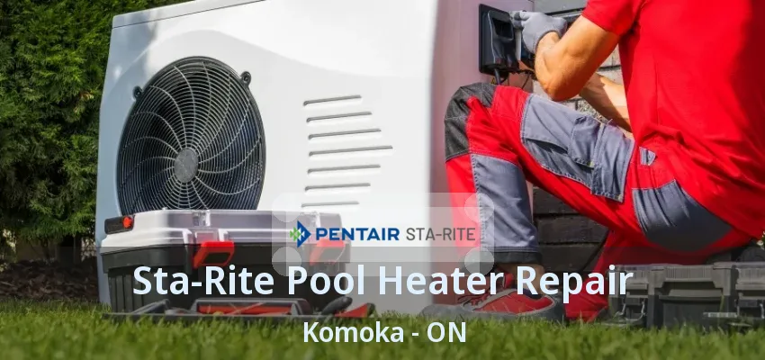 Sta-Rite Pool Heater Repair Komoka - ON Sta-Rite Pool Heater Repair Komoka - ON