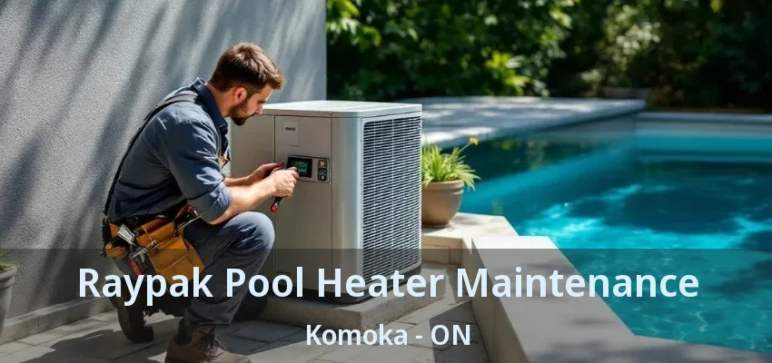 Raypak Pool Heater Maintenance Komoka - ON