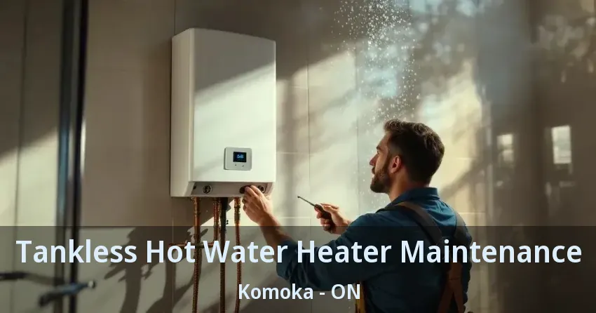 Tankless Hot Water Heater Maintenance Komoka - ON Tankless Hot Water Heater Maintenance Komoka - ON