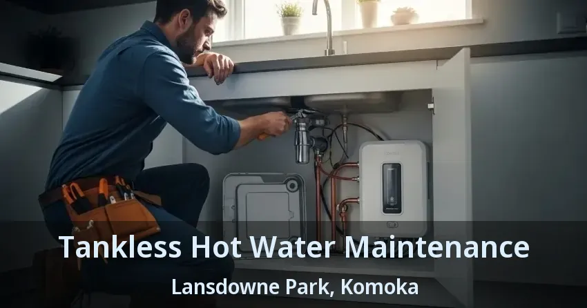 Tankless Hot Water Maintenance Lansdowne Park, Komoka - ON Tankless Hot Water Maintenance Lansdowne Park, Komoka - ON