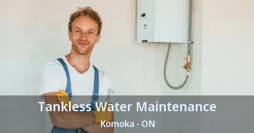 Tankless Water Maintenance Komoka - ON Tankless Water Maintenance Komoka - ON