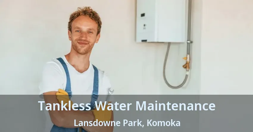 Tankless Water Maintenance Lansdowne Park, Komoka - ON